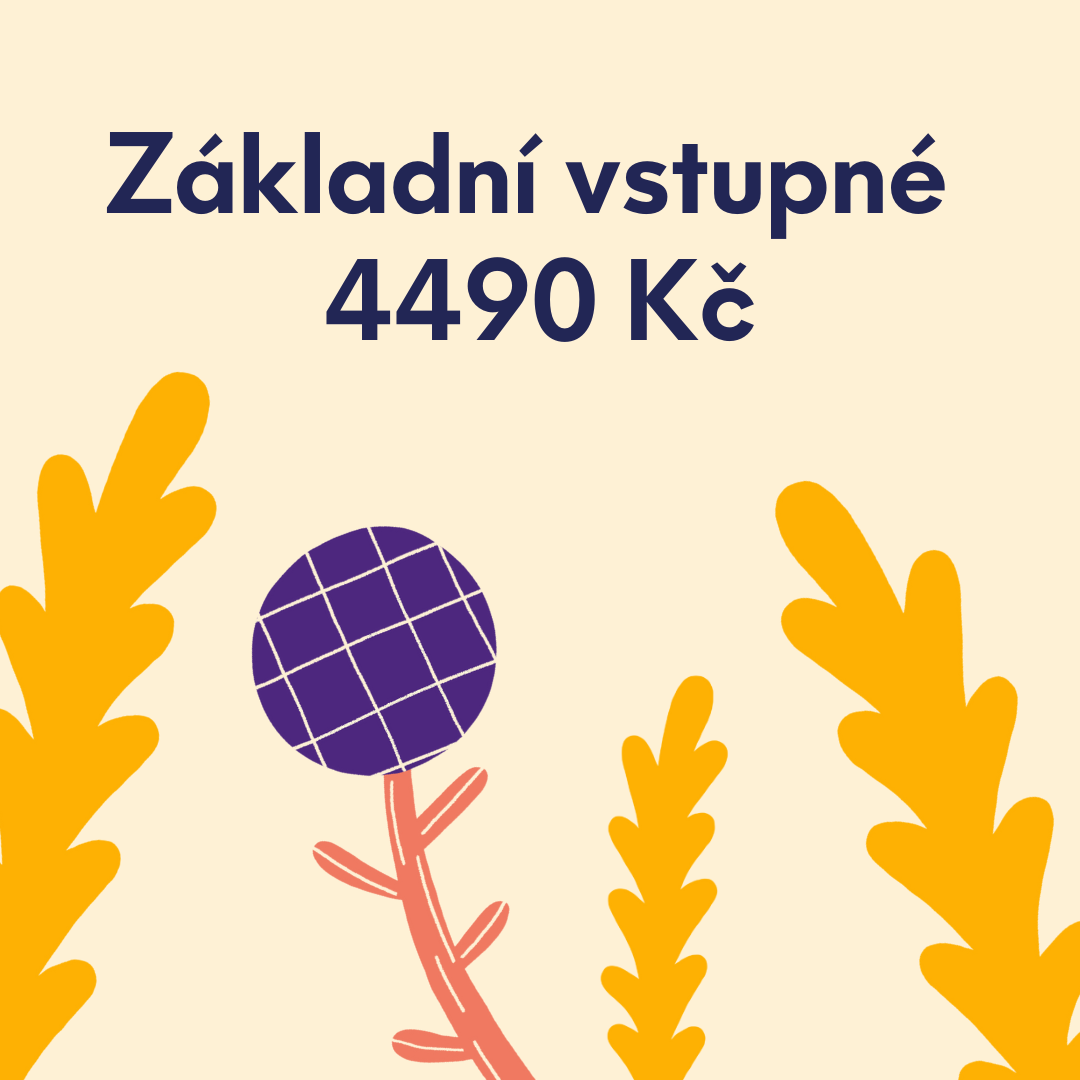 Základní vstupné